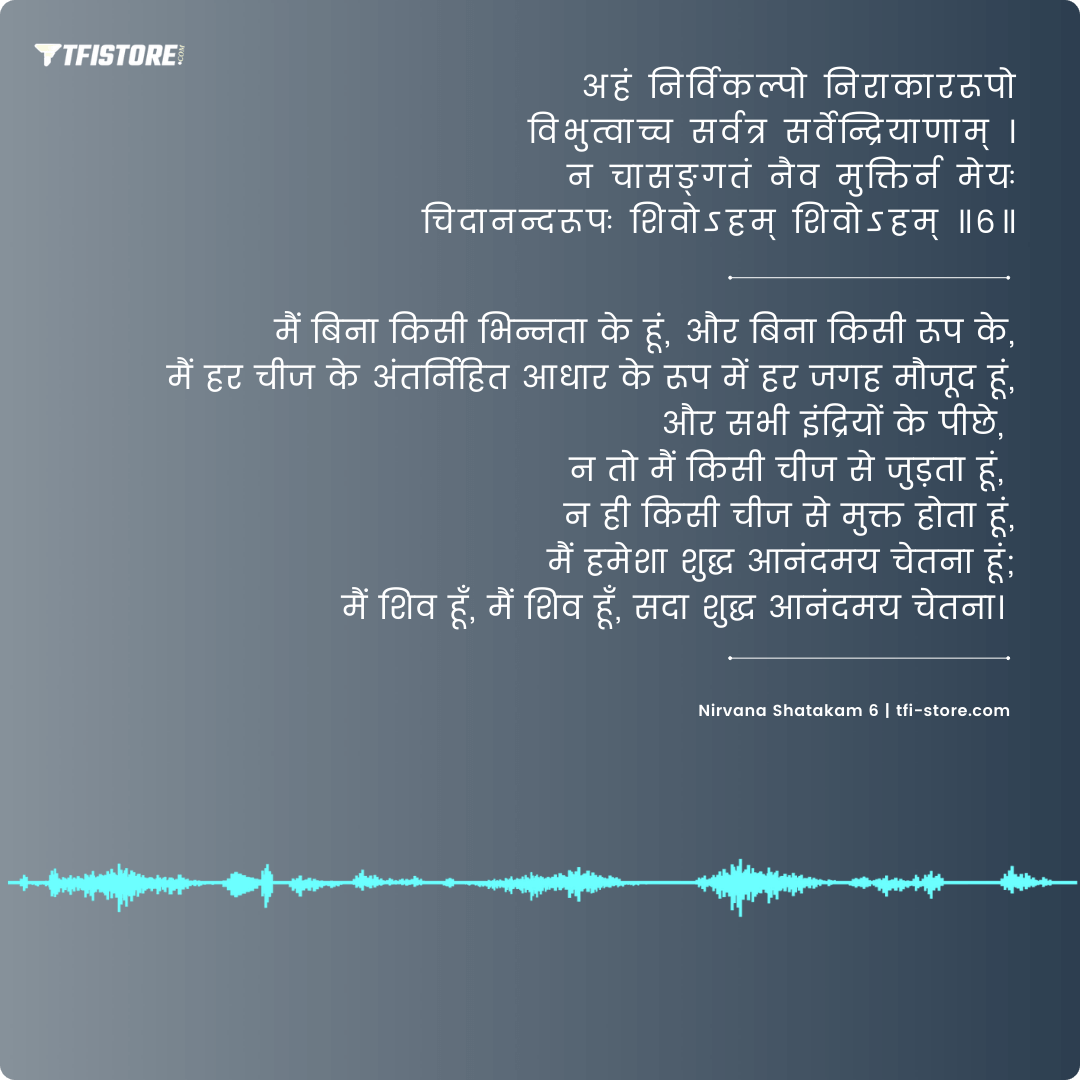 Nirvana Shatakam Shloka lyrics meaning 6